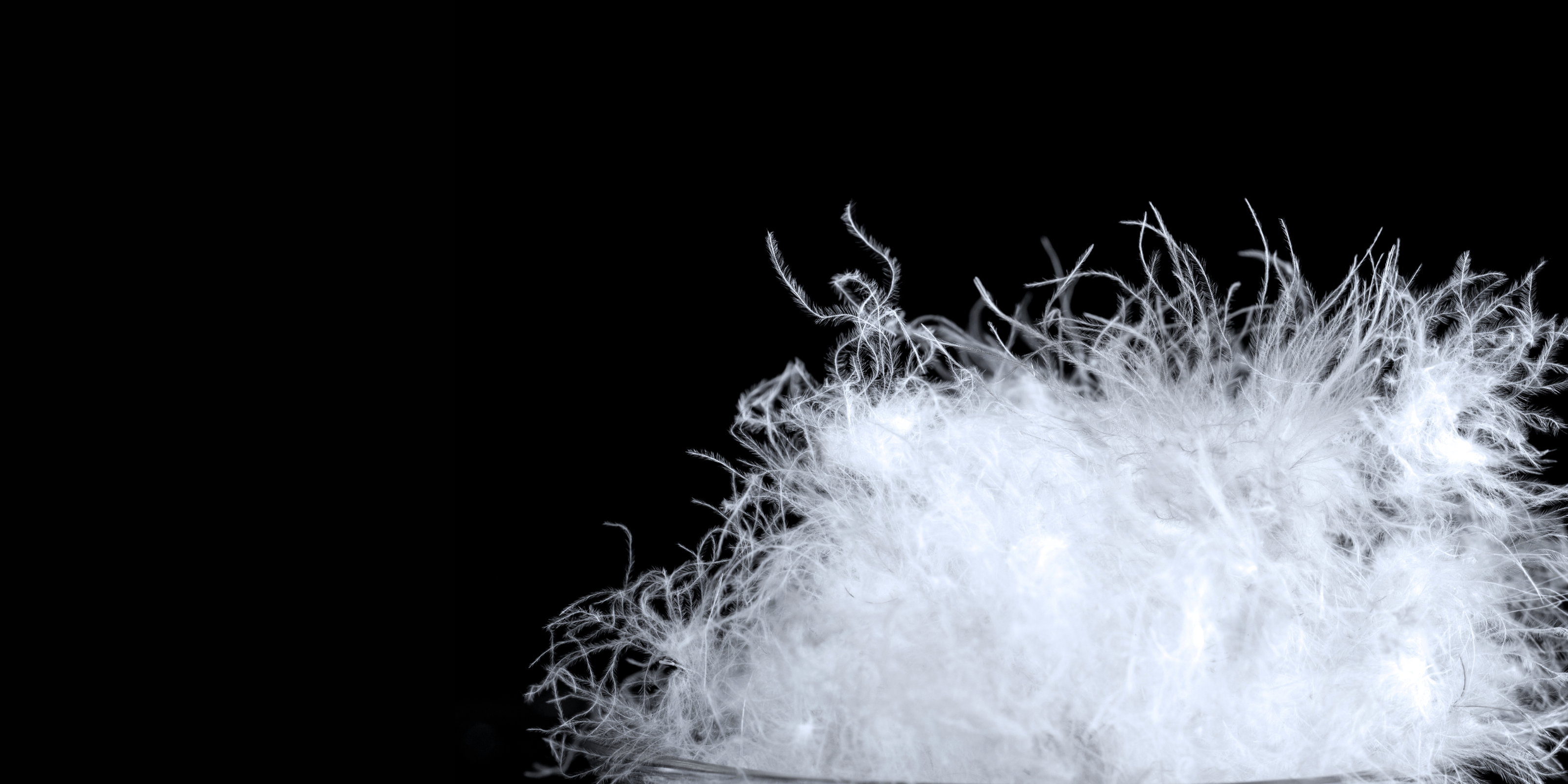 High fill-power down density inside black sleeping bag for maximum warmth