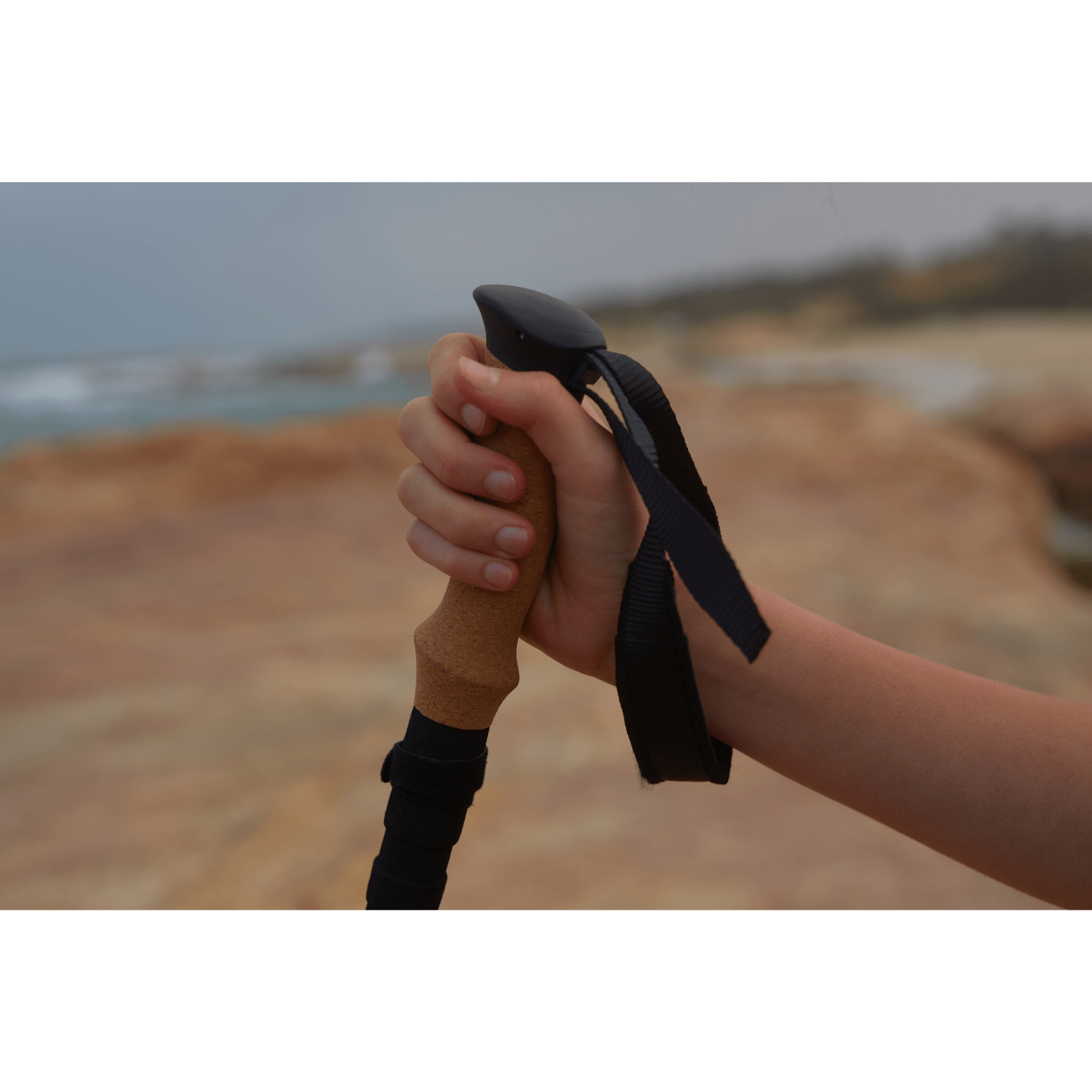 Lightweight aluminum hiking poles showing durable construction and ergonomic handle